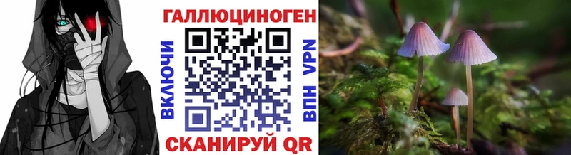 Псилоцибиновые грибы ЛСД  Купить закладки  Весьегонск 